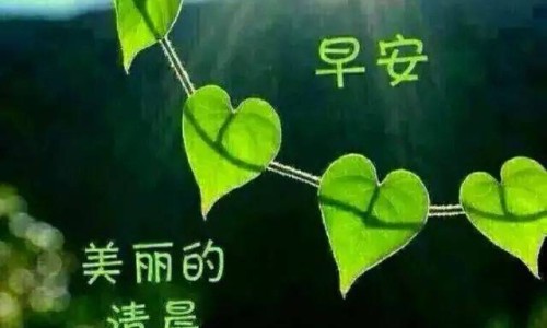 丹蓝口服药是国家认可的吗-丹蓝热炎宁颗粒网—知名的丹蓝口服液适用于哪些人群网站,分享丹蓝热炎宁颗粒 润丰制药 停产了知识
